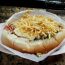 Nº 01 - DOG CHAPA
